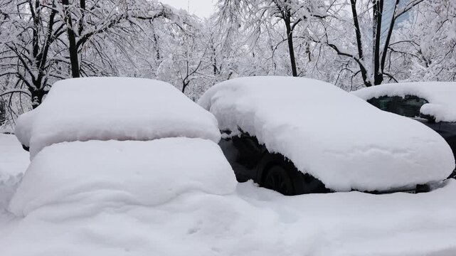 Cars Completely Covered in Snow After Blizzard, Heavy Snowfall and Extreme Winter Weather Conditions