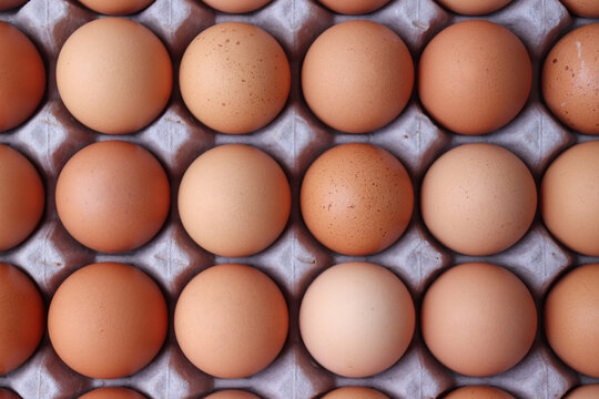 Fresh brown eggs in an egg carton.
