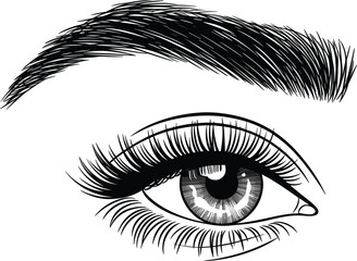 Obraz premium Beautiful female eye and eyebrow, hand drawn sketch vector illustration for beauty salon makeup card