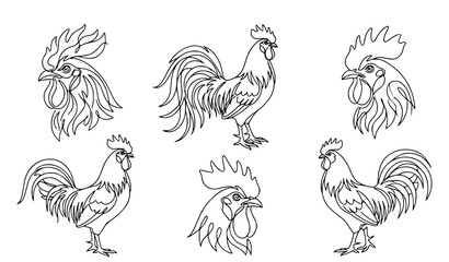 Hand Drawn Rooster Collection Featuring Different Chicken Poses Farm Bird Outline Illustration Set © Keyapayal