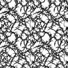 Obraz premium Marble Web Crack Texture thorn Seamless Pattern Black White