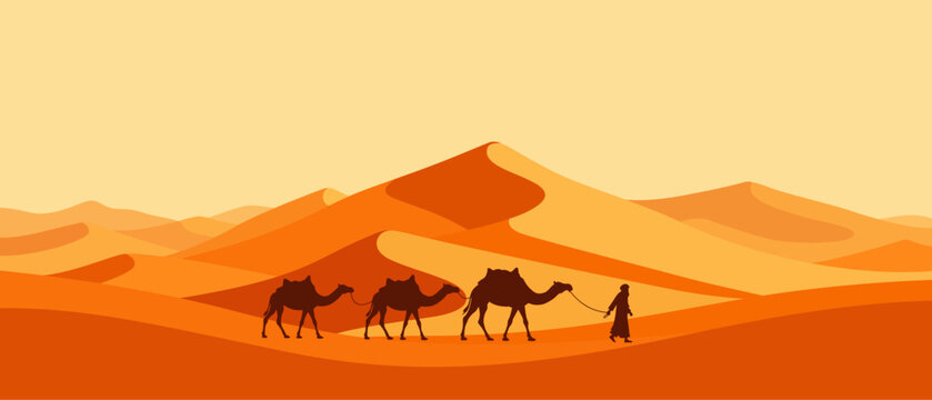 camel in the desert