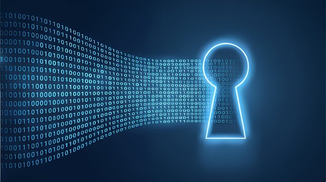 Digital Key: Unlocking Data Security in Binary Code Networks