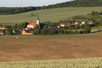 Fototapeta premium green fields, Moravia, Czech Republic, around the village Kyjov