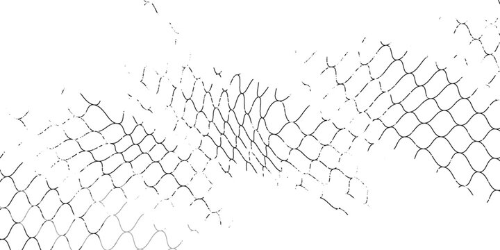 Black snake skin pattern isolated on white background eps 10