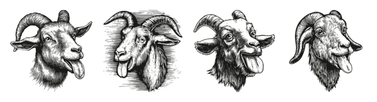 Detailed Illustrations of Goat Heads with Unique Expressions, vector illustration, engraving design, logo design set, black and white line