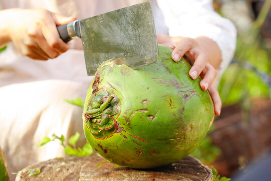 Fresh Green Coconut Opening with Machete - Tropical Fruit Preparation