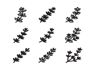 Fototapeta premium Thyme Herb Sprig Collection Featuring Solid Black Silhouette Vector Icons