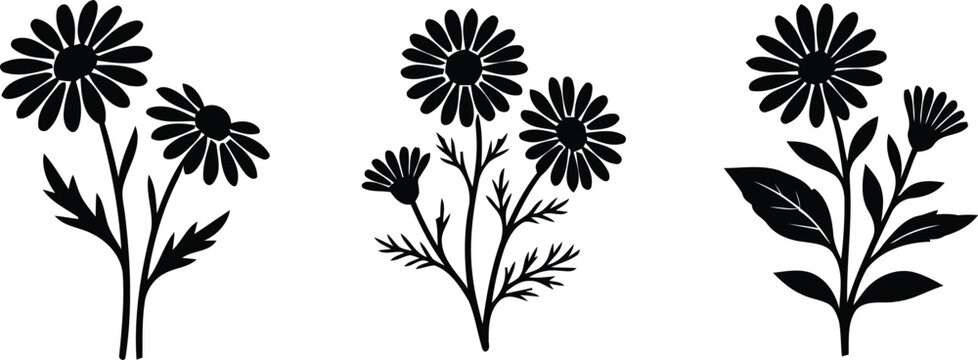 Wildflower Daisy Silhouette Collection Botanical Vector Set