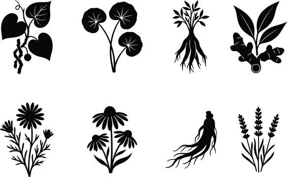 Botanical Medicinal Plants and Herb Roots Silhouette Set