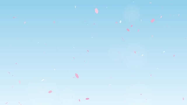 Cherry blossom petals gently falling against blue spring sky, spring background seamless loop 4K 020