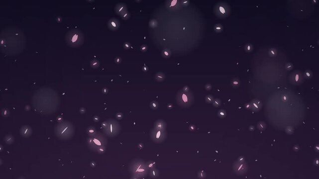 Cherry blossom petals drifting in the wind against night sky, spring background seamless loop 4K 024