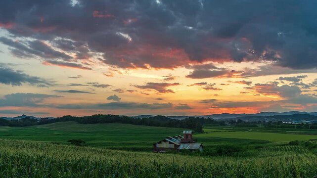 Beautiful sunset timelapse over a lush green cornfield and rustic farm house at Anseong Farmland, dramatic golden clouds moving across the sky in South Korea.