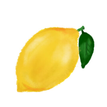 Illustration vector of a fresh sour lemon, summer vibes