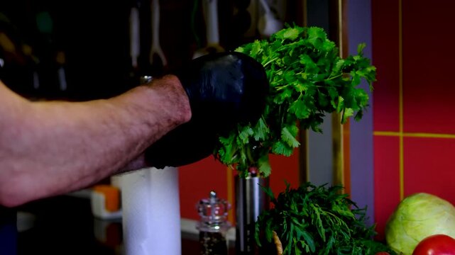 A chef wearing black gloves gently tears fresh cilantro leaves from a bunch to finish the plating. Bright green herbs add color and freshness to the prepared meal.