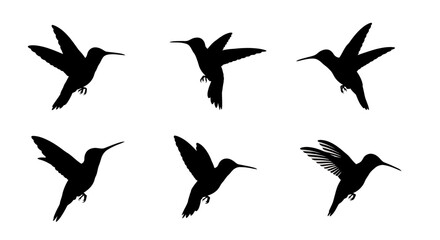 Fototapeta premium Hummingbird silhouette collection, set of 6 flying bird icons in black vector format, elegant tropical colibri shapes for nature branding and logo design