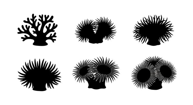 Black coral and sea anemone silhouettes, set of 6 underwater marine life vector icons, aquatic reef flora and fauna elements for ocean conservation design