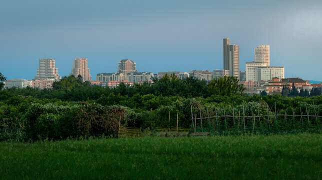 Avance imparable de las ciudades sobre el campo y la huerta en Val&egrave;ncia, Espa&ntilde;a