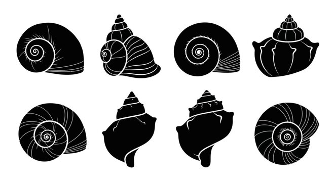 Black seashell silhouette icons, set of 8 sea shell vector illustrations. Minimalist nautical marine life elements, decorative ocean snail and mollusk shapes