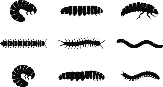 Caterpillar and Millipede Silhouette Vector Collection with Worm and Larva Insect Clipart Set