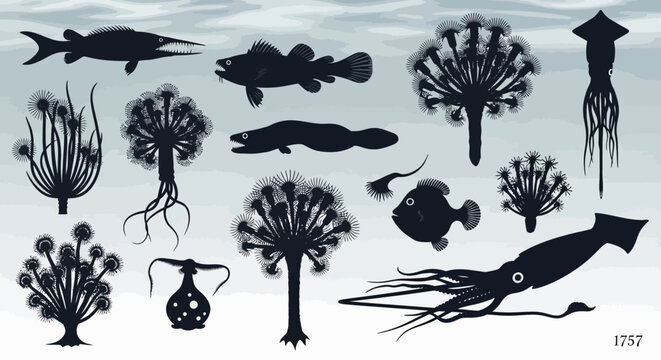 Deep sea creature silhouettes, prehistoric marine life and ancient fish vector set, mysterious underwater organisms and giant squid icons