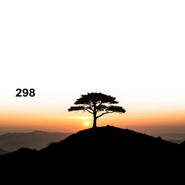 Minimalist tree silhouette at sunset, lonely pine on mountain peak at dawn, serene nature landscape with orange sun and 298 text
