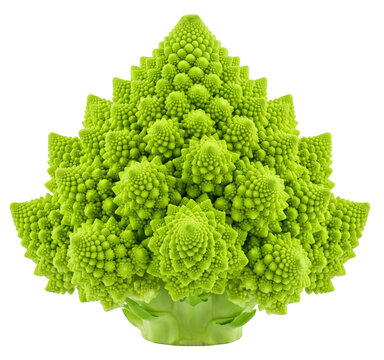 whole green romanesco broccoli head isolated on a transparent background