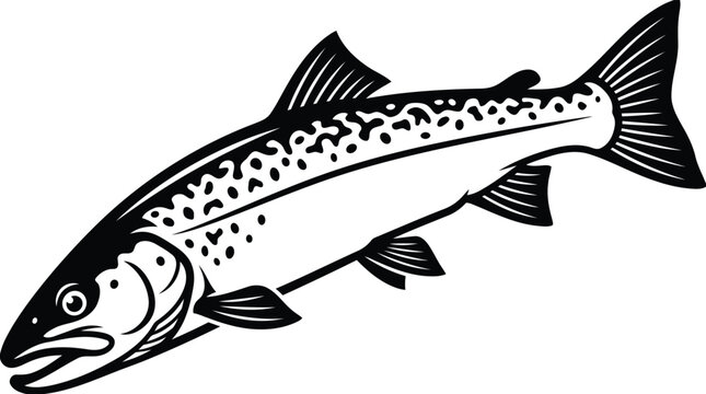 Trout fish illustration freshwater trout species silhouette