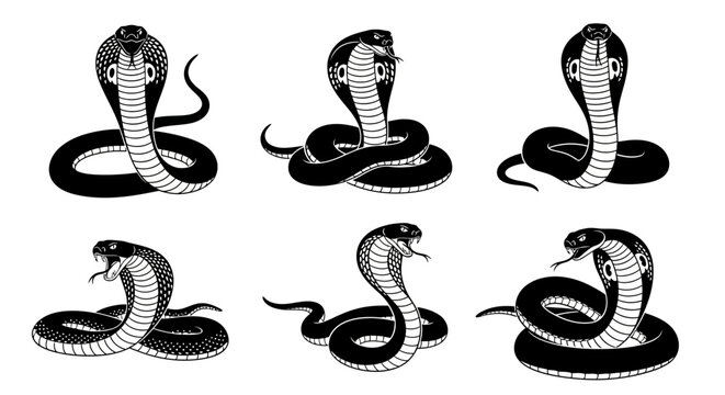 King Cobra Snake Vector Set, Black and White Serpent Illustrations, 6 Aggressive Cobra Mascot Icons, Poisonous Reptile Graphics for T-shirt Design