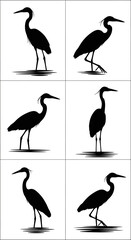 Obraz premium Heron silhouette vector collection, 6 black crane bird icons, standing egret water bird shapes for nature logo design and wildlife graphics