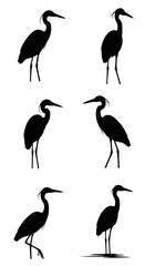 Obraz premium Heron bird silhouette collection, 6 black crane and egret vector icons, minimalist wading bird shapes for nature logo design and wildlife graphics