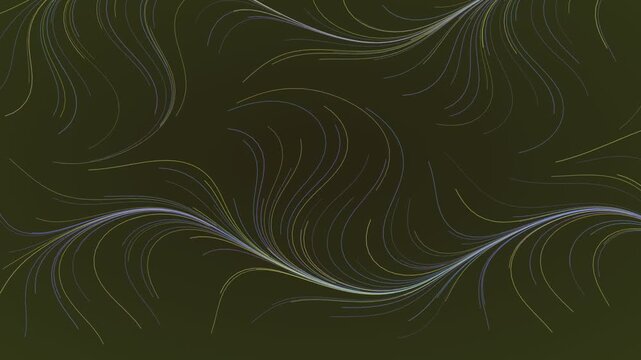 Animated Midnight flow field lines background weaving loop
