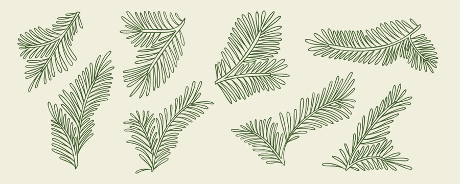 Set of eight hand-drawn evergreen branches in various orientations and styles on a light beige background, suitable for seasonal design and decoration