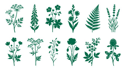 Fototapeta premium Collection of various dark green botanical silhouettes including wild flowers and herbs isolated on white background, Sustainable natural branding, Symbolizing organic garden design