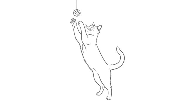Line Art Illustration of a Playful Cat Jumping for a Toy