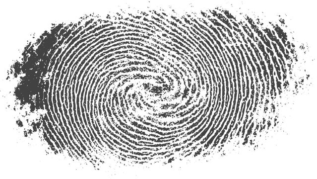 High Detail Fingerprint Swirl Texture with Unique Ridge Patterns, Monochrome Thumbprint Illustration for Security, Identity, Forensic and Biometric Authentication Concepts.