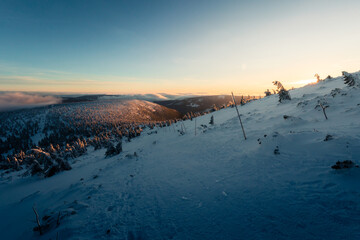  Long shadows cast by winter vegetation on a snowy mountain ridge during sunset, Krkonose. © Jan