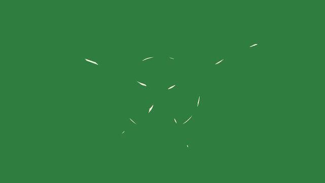 Bird on star in the middle isolated on green screen background