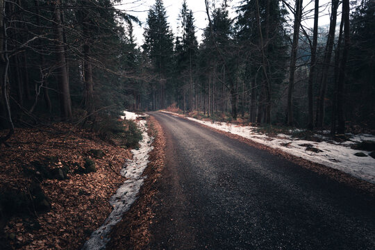 Clean asphalt road clearing through deep snow in winter mountain fores
