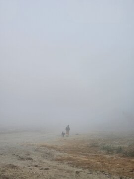 A lone figure walks with a dog through a foggy landscape, creating a serene and mysterious atmosphere in the soft, muted tones of the surroundings.