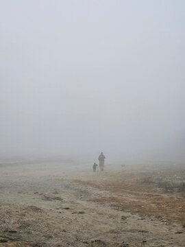 A person and a child walk through a foggy landscape, creating a sense of mystery and solitude in the serene environment.