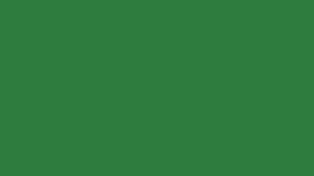 Logo on it shark in the middle an image of bird shape arrow smiley face isolated on green screen background