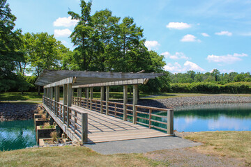Fototapeta premium Wooden pedestrian bridge over tranquil pond in sunny park