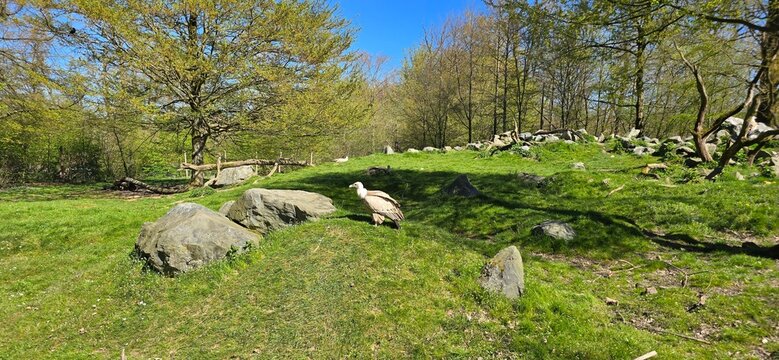 Parc animalier
