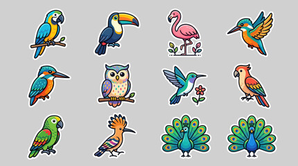 Collection of diverse cartoon birds © Soraa