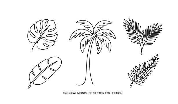 Tropical leaves and palm tree continuous one line art set with monstera foliage editable stroke vector EPS illustration