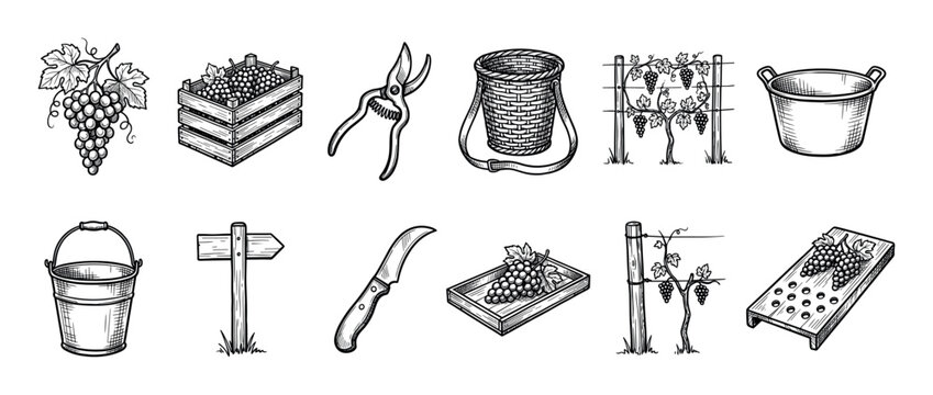 Collection of hand-drawn winemaking equipment icons including grapes, a crate, shears, a basket, and a vineyard trellis in a vintage black and white engraving style