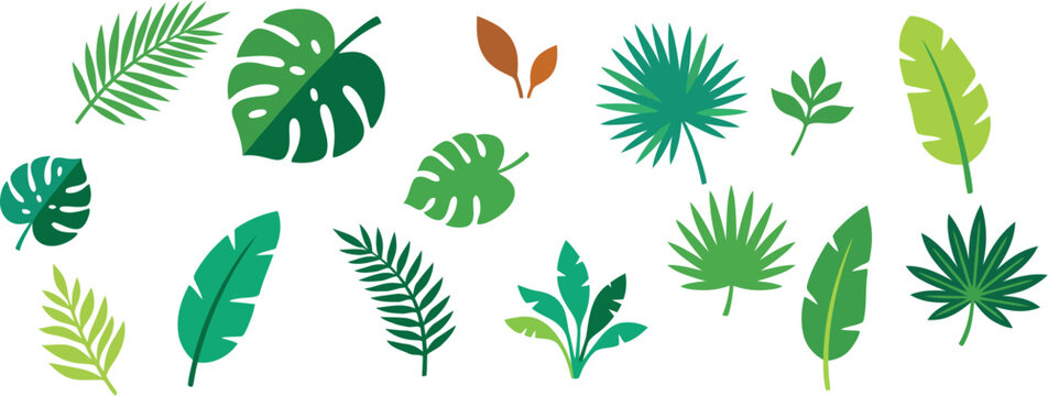 Tropical Leaves Collection Flat Vector Set