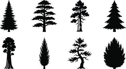 Fototapeta premium Conifer Tree Silhouette Collection with Pine Fir Cedar and Evergreen Forest Vector Set