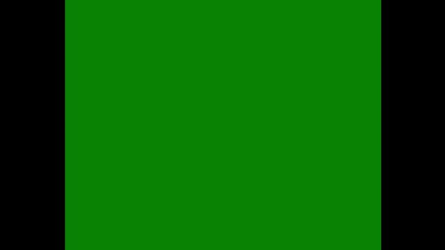 Vertical aspect ratio animated side pillarbox overlay on green screen for mobile video composition and creative framing